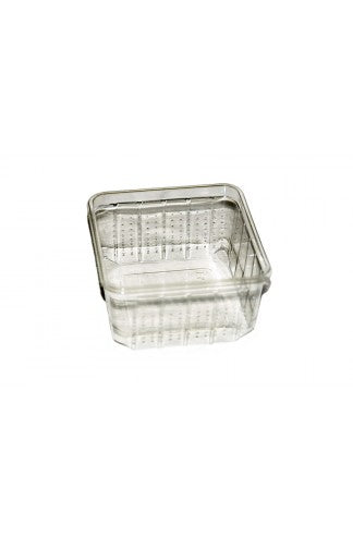 Boîte plastique pour le transport des insectes vivants 11x11x6 cm