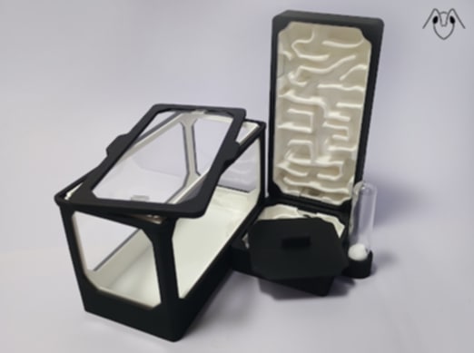 Choisir un nid de fourmis : guide complet pour votre colonie