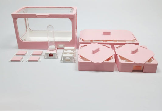 Comment débuter l'élevage de fourmis : guide complet